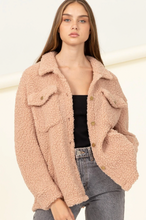 Winter Bliss Taupe Button Down Jacket