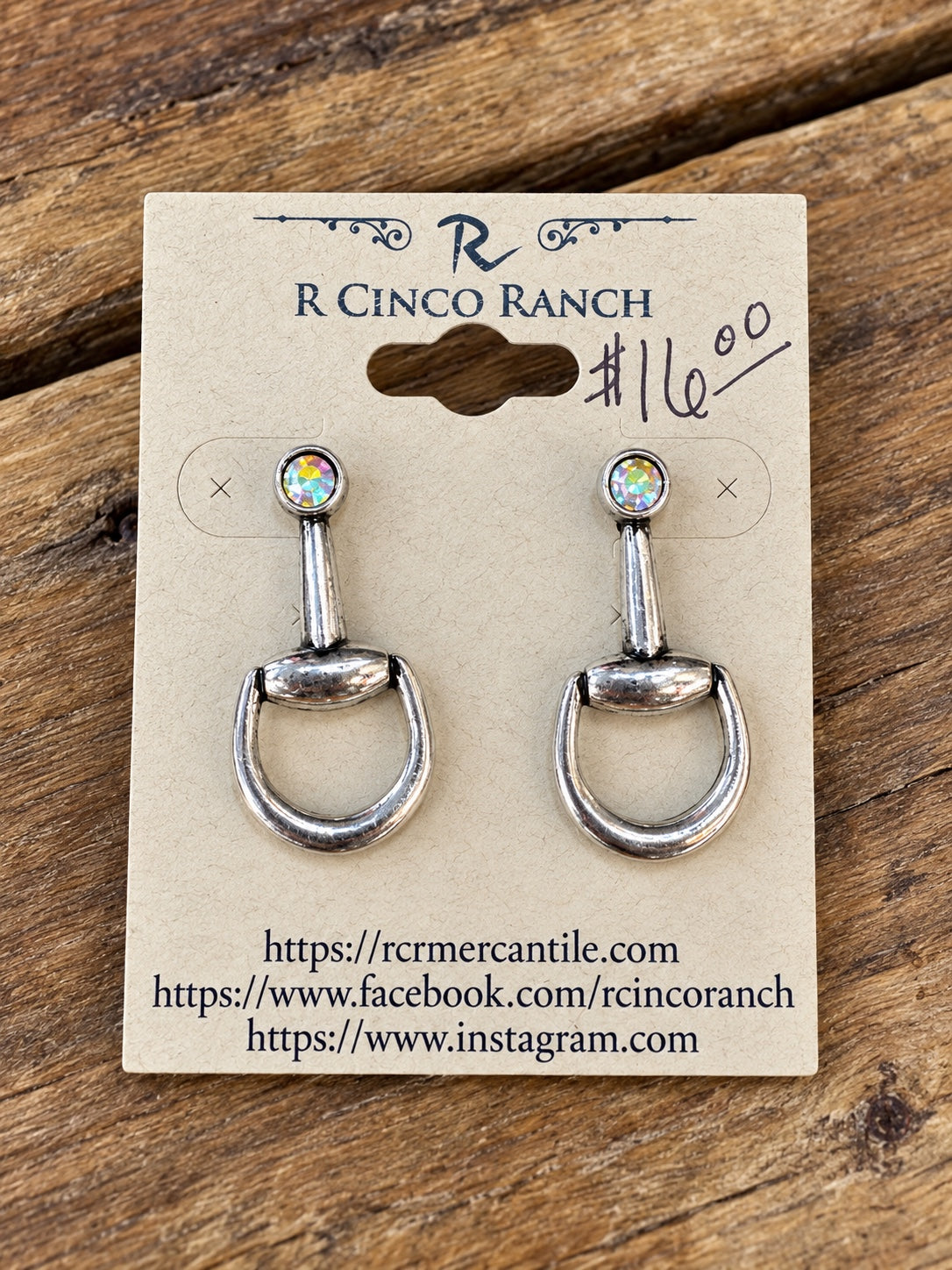 Silver Snaffle Bit & Crystal Stud Earrings